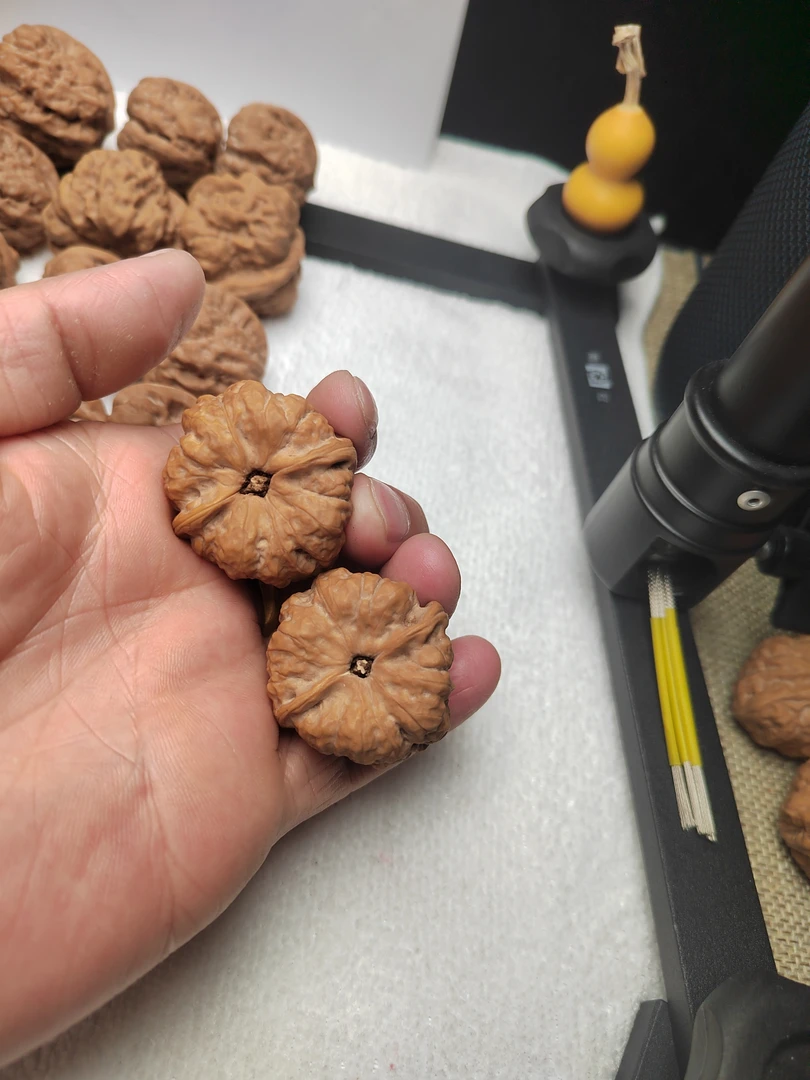 金蟾蛤蟆头文玩核桃