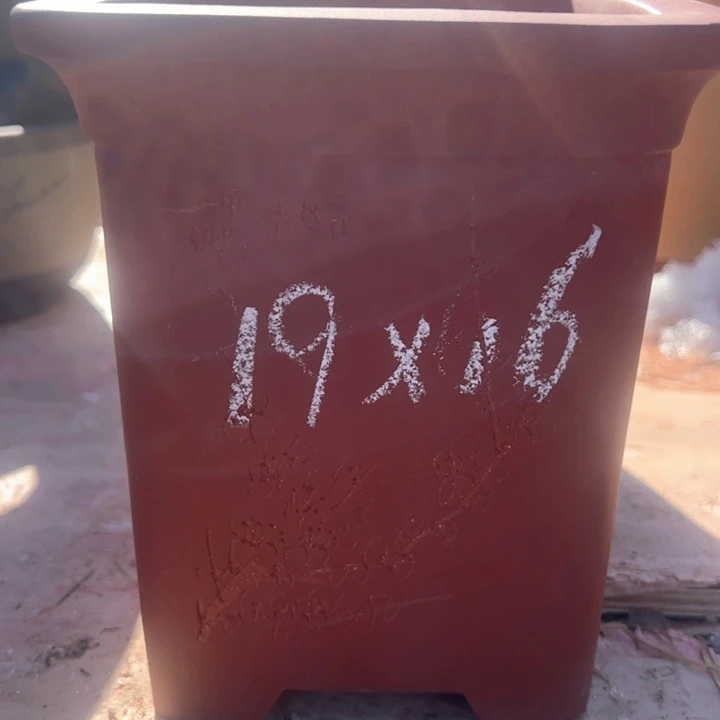 红陶紫砂四方无暇