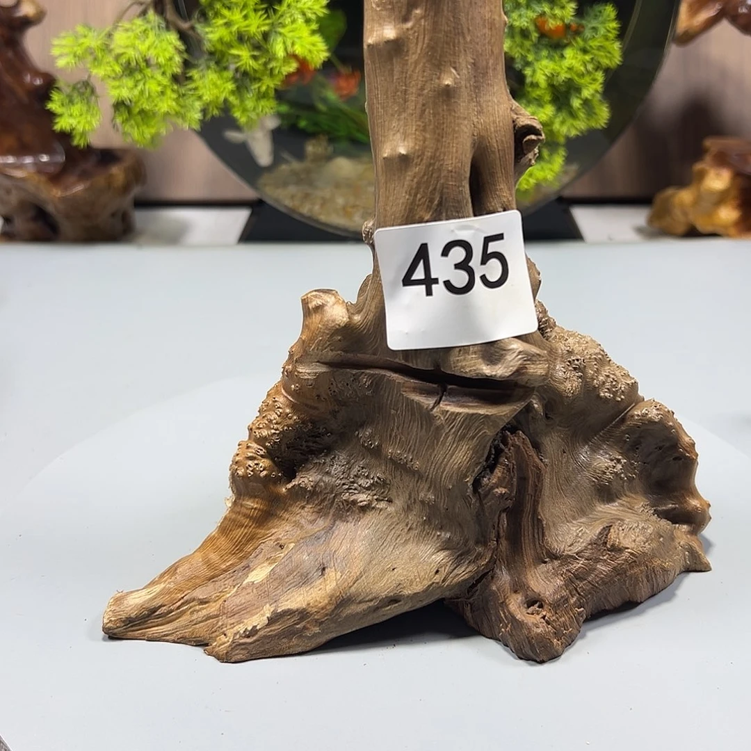 大果紫檀（缅甸花梨）末**置