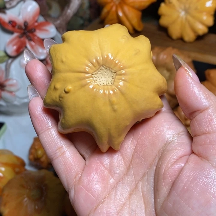 双色海星不退不换