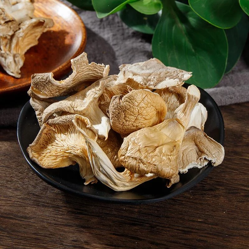 平菇干货250g干平菇新鲜凤尾菇干白平菇食用营养菌菇类磨菇非香菇