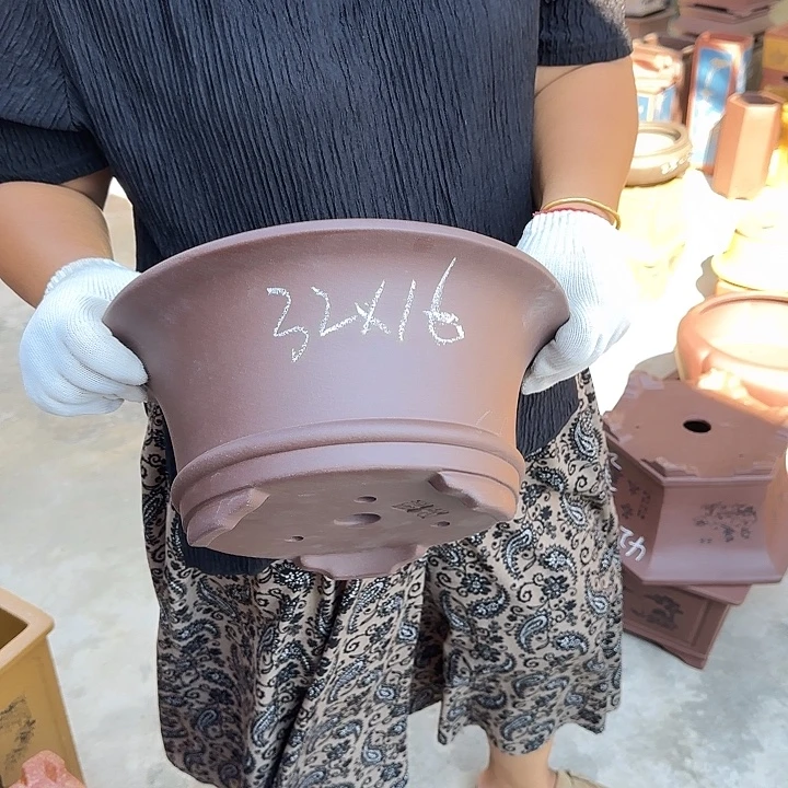 在这个充满生机盎然活力