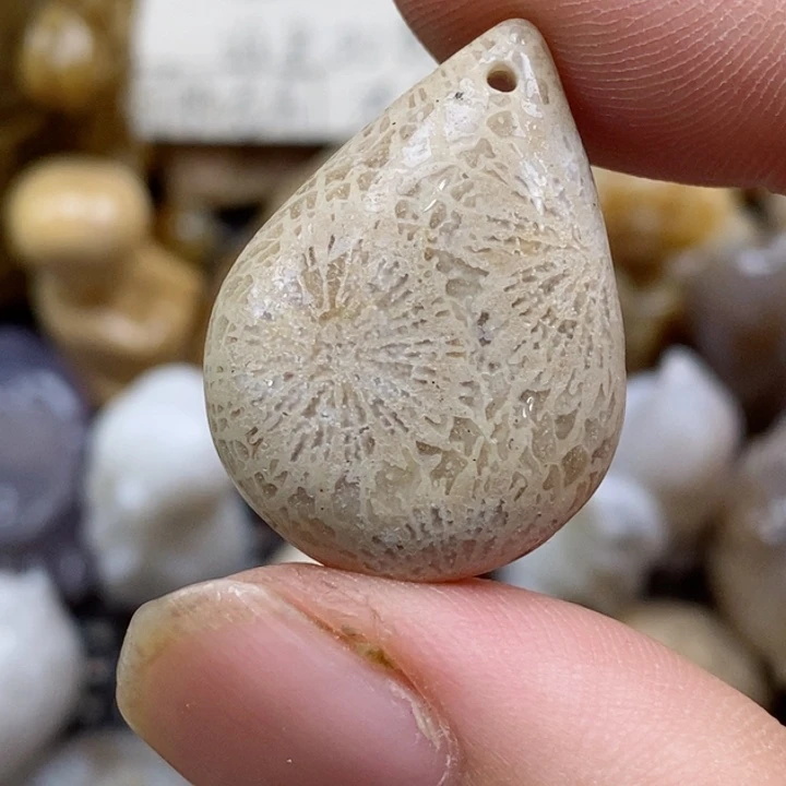 颈饰未镶嵌硅化珊瑚（珊瑚玉）有瑕 小
