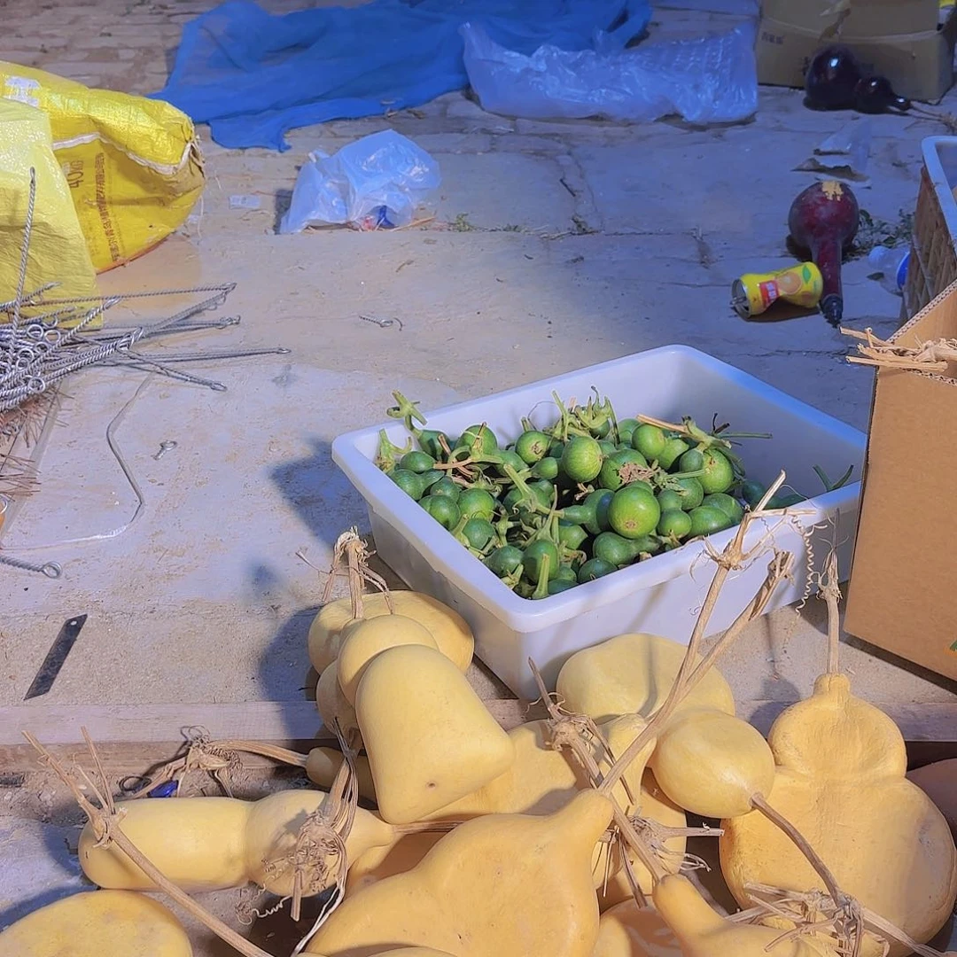 ****Y葫芦处理葫芦葫芦画皮葫芦