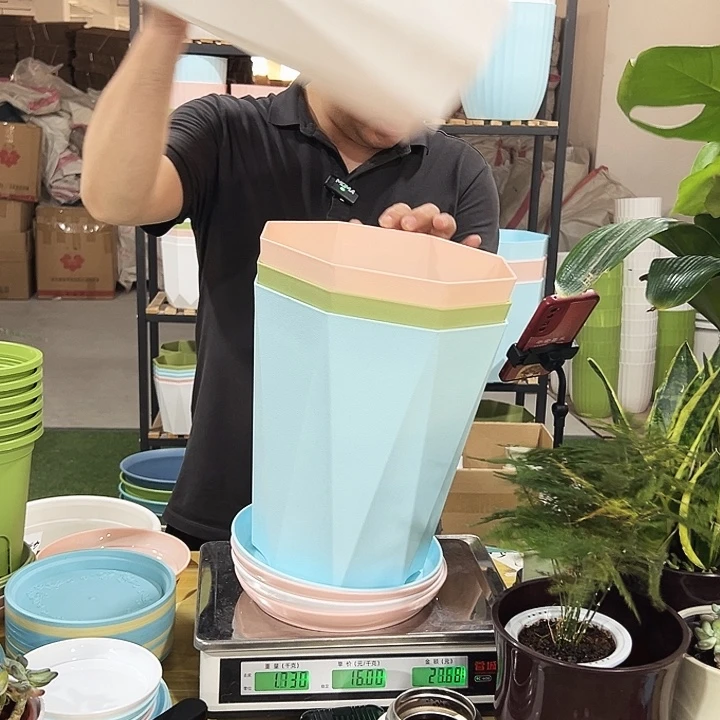 FC245口24高29混色4个带托