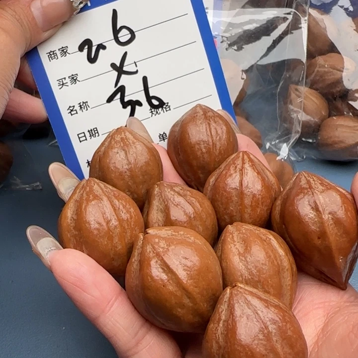 雷***蝉手串橄榄核橄榄核