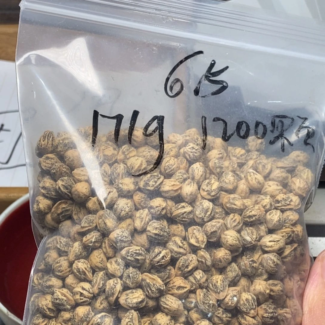 柏香籽/百香籽吊坠