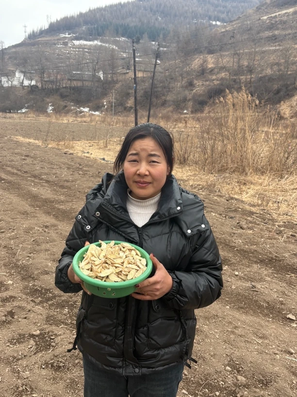 甘肃岷县黄芪片，大片