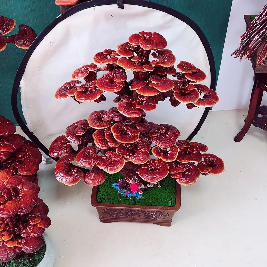 【闪购商品】全部花朵