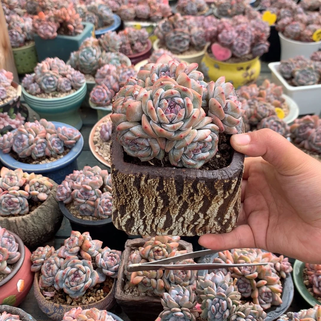 哈哈哈哈哈哈哈41