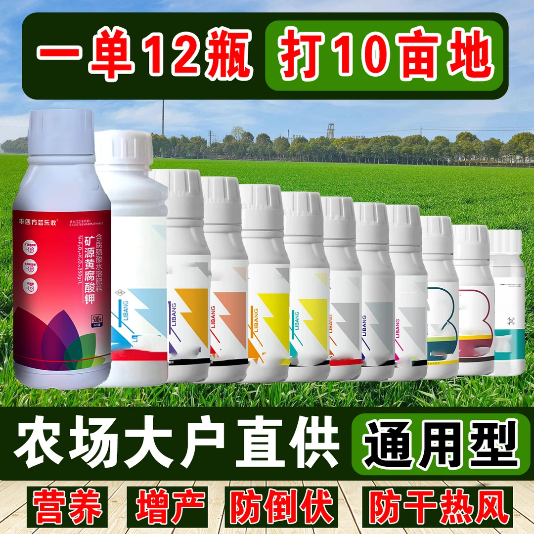 小麦水溶肥叶面肥高产营养增产十亩地