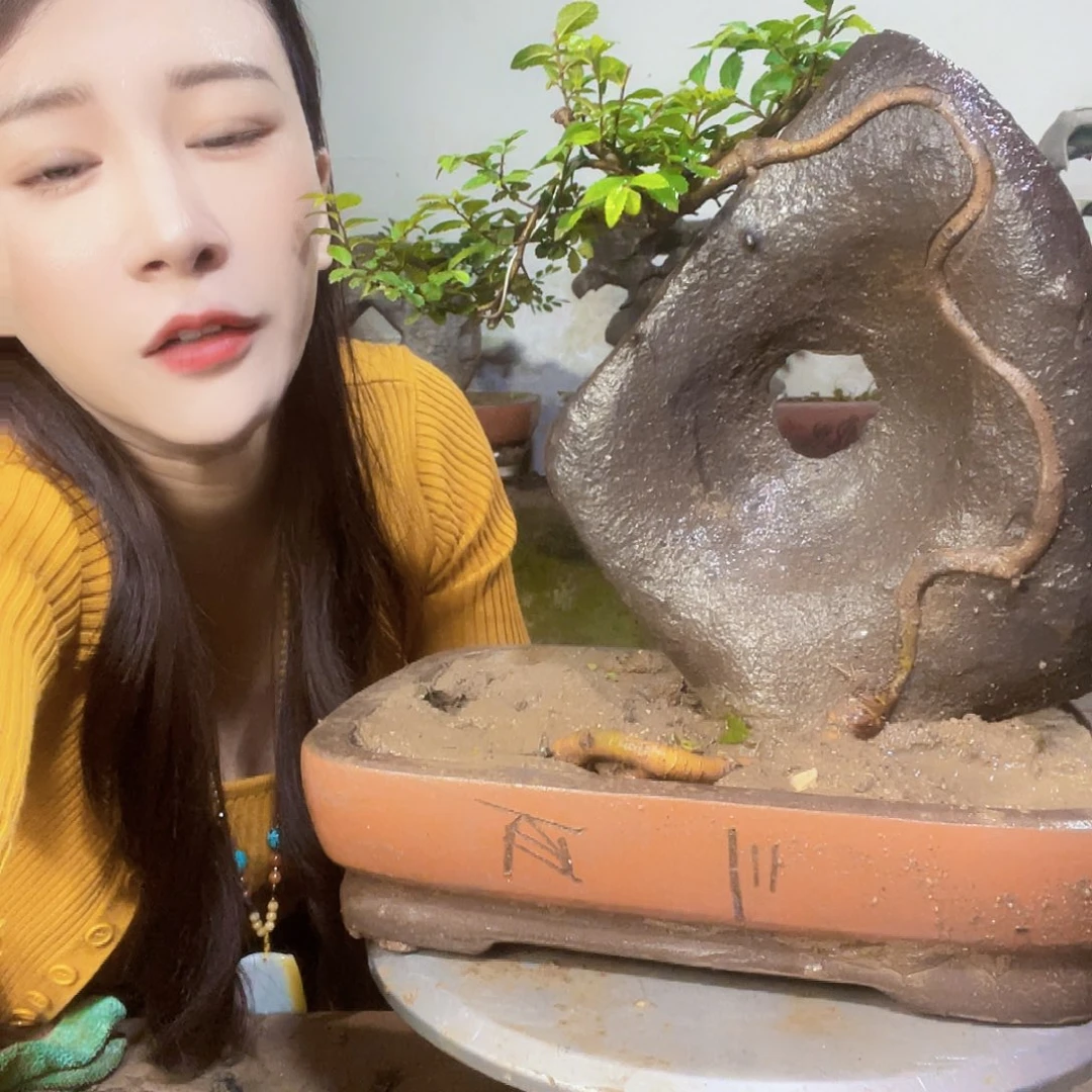 隔***爷兔兔我中央音乐学院