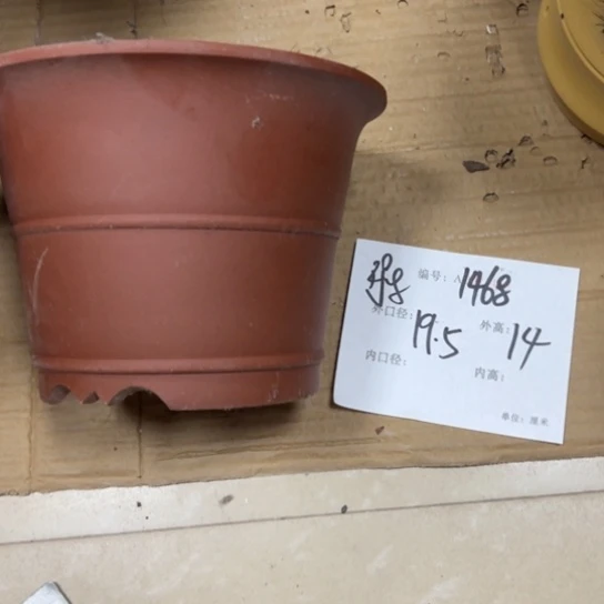 紫砂花盆花卉工艺