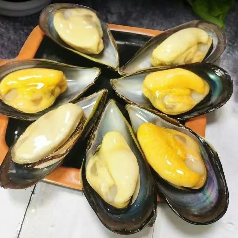 w【顺丰包邮】日照青口贝 贻贝整箱6斤净重5斤包鲜包肥不包活