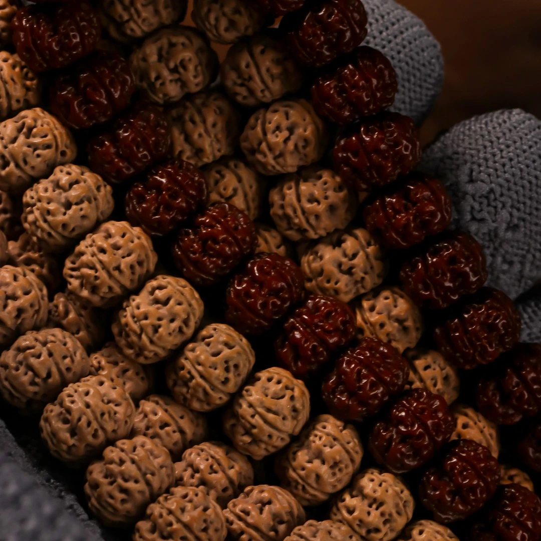 【凹底梅花】原生态矮桩凹底梅花粗肉花王小金刚菩提单圈手持