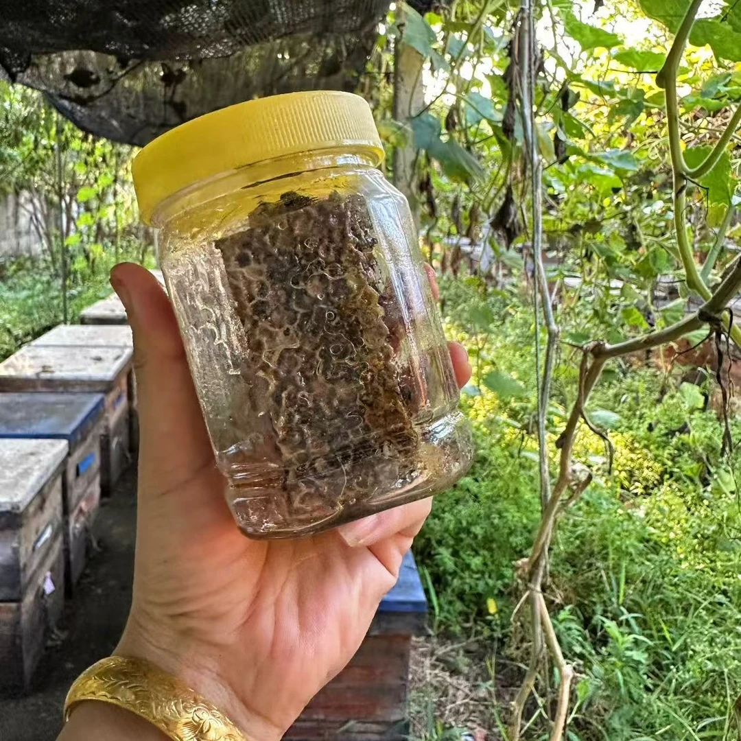 老巢蜜农家自产自销 百花蜂蜜封盖成熟 嚼着吃的纯天然蜂蜜