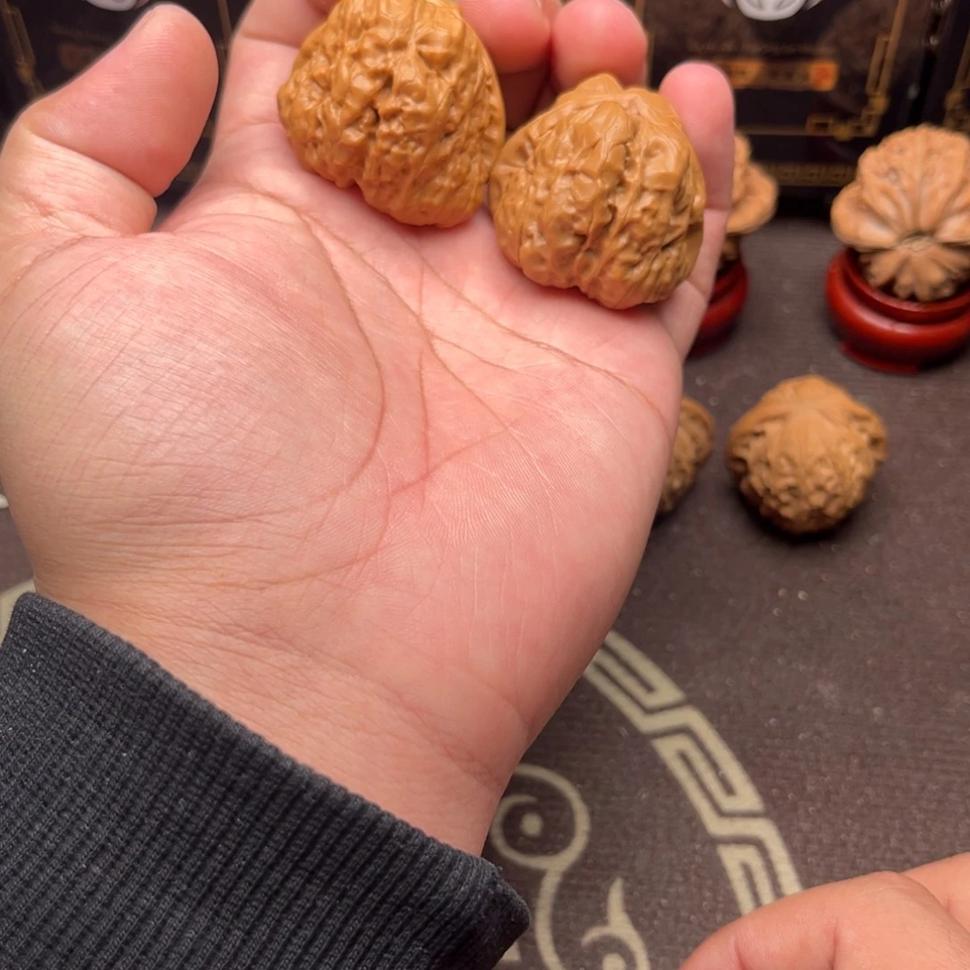 核桃蛤蟆1111111111