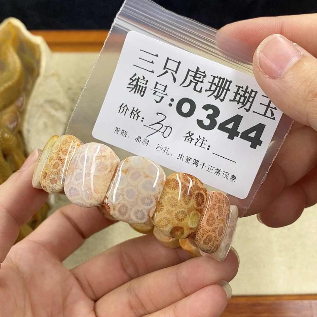 硅化珊瑚（珊瑚玉）1未镶嵌石*