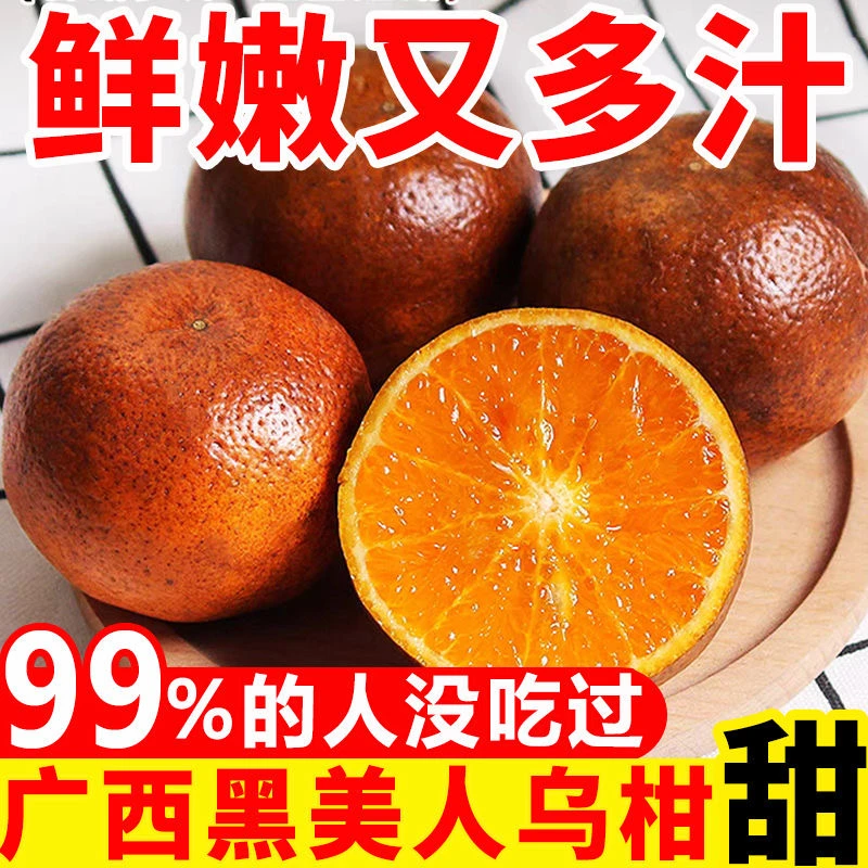 正宗广西武鸣黑皮乌柑品质新鲜当季桔橘香甜无酸甜蜜爽产地新鲜摘