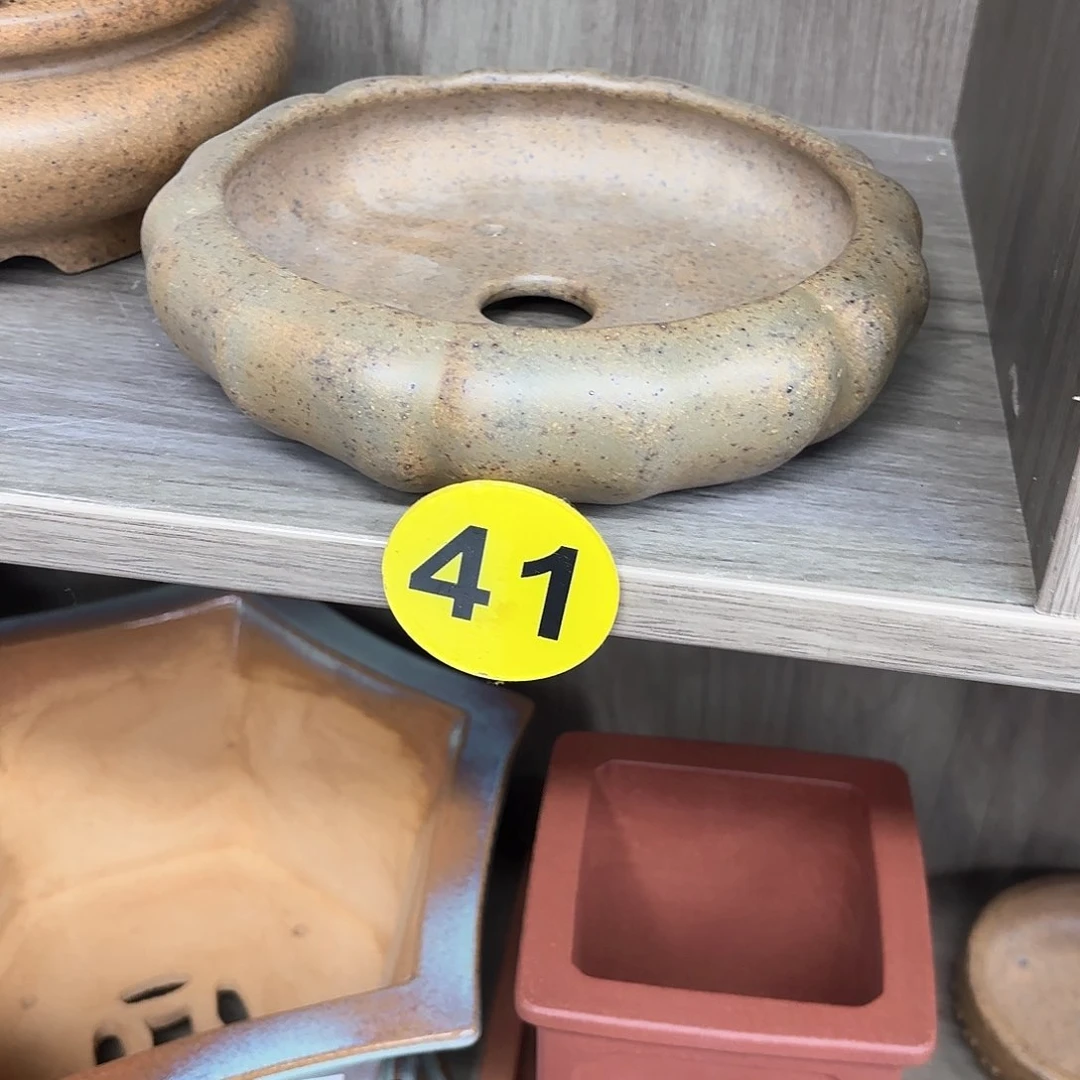 紫砂花盆紫砂的花开了没有