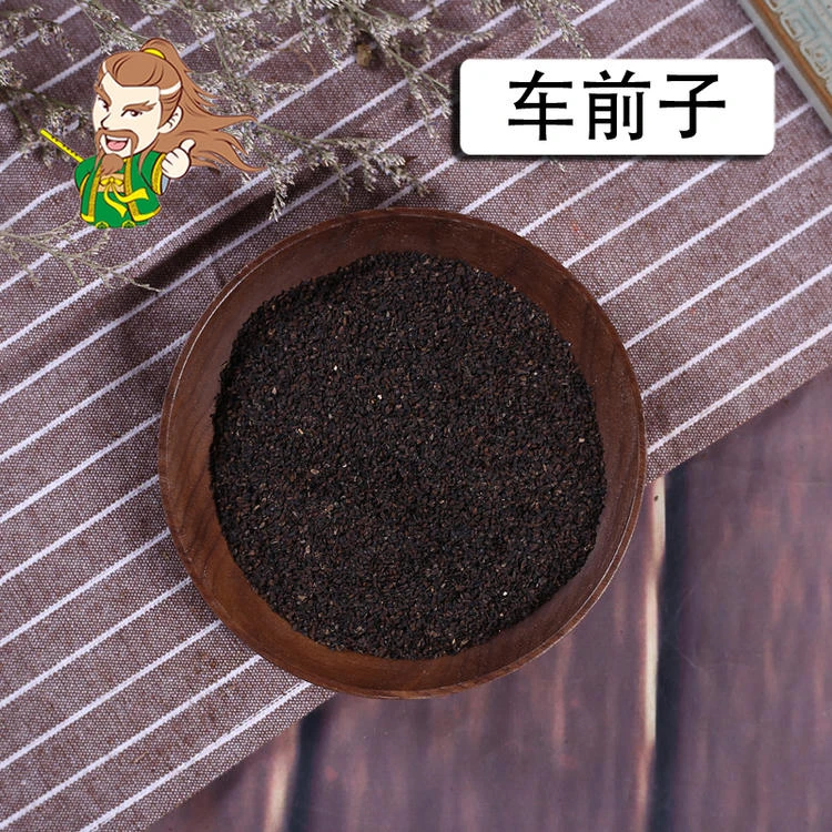 褚药 车前子 精选品质