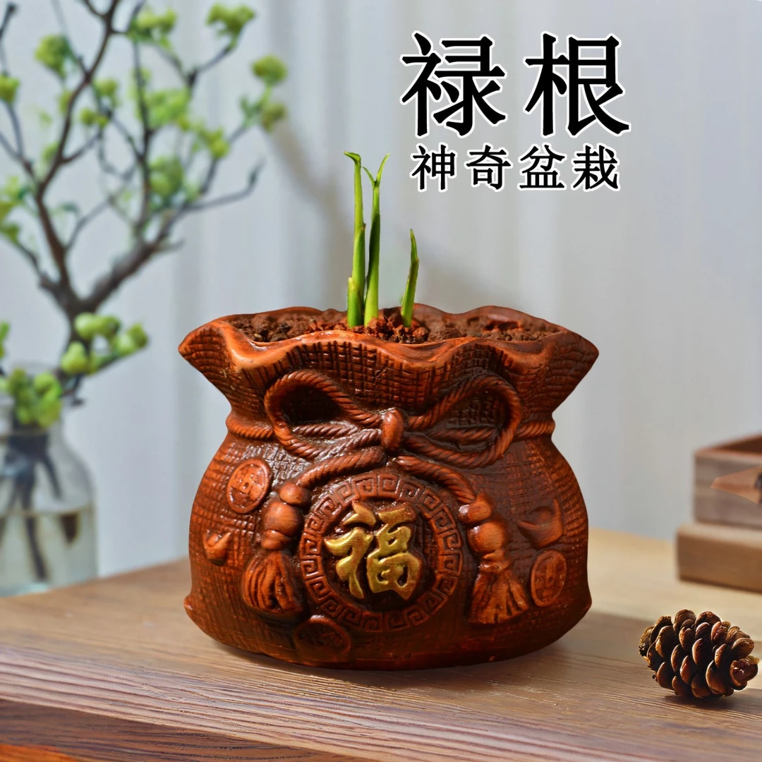 【易贞老师推荐】禄根种植养护配件