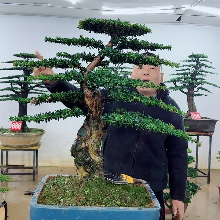 完全开放盆景园林……