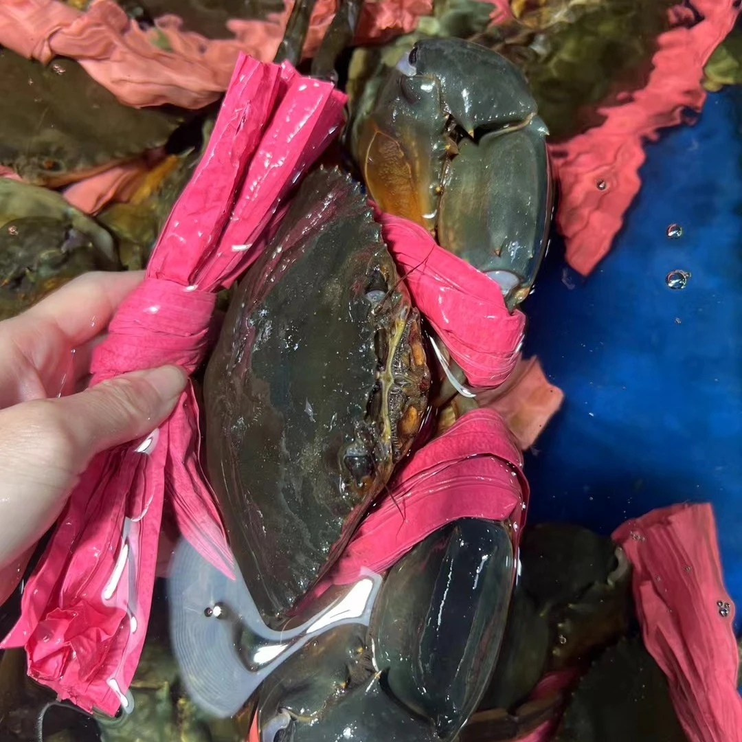 姜葱炒膏蟹500g。现捞现做生猛下锅！蟹同城配送海鲜