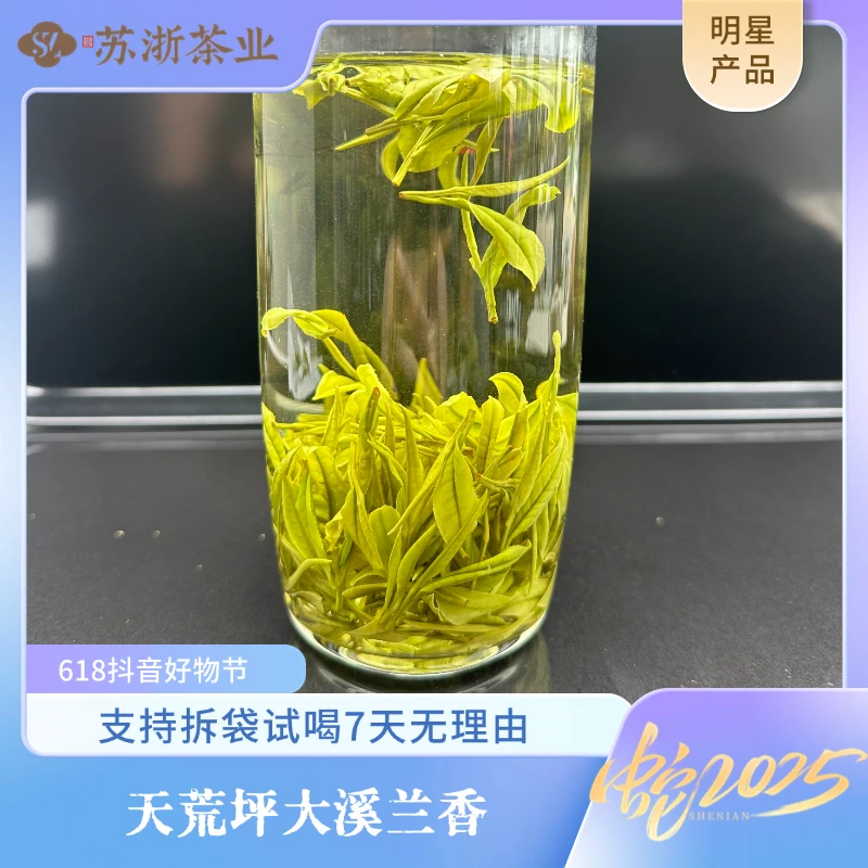 【天荒坪母本极白】2025年新茶  经典兰香 发源地 母本极白