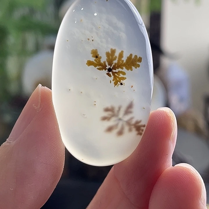 玛瑙/玉髓未镶嵌珠宝半成品