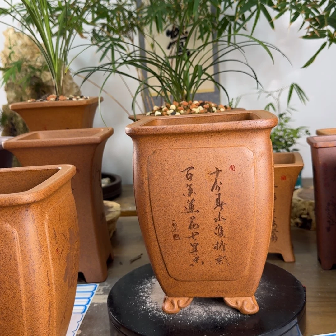 大***9紫砂花盆紫砂花盆