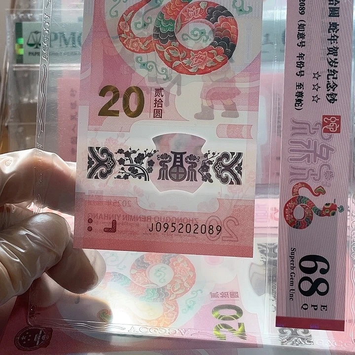 塑料095202089 蛇钞单张