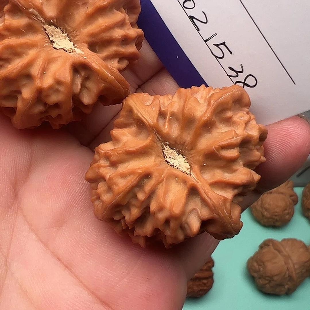 桃核把件尖有修曹大龙38