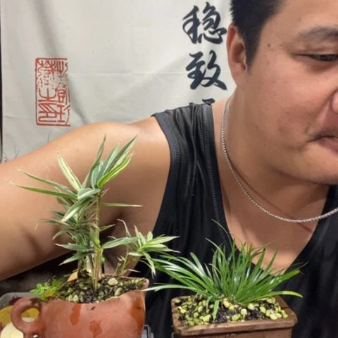 一物一拍所见即所得167