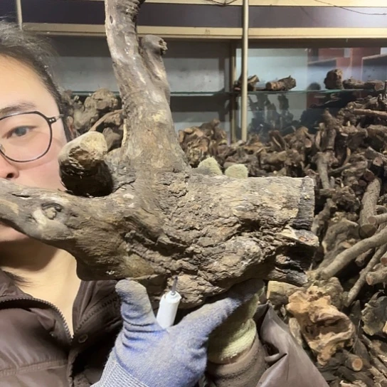 香榧木二**说火琉璃的故事毛料摆件