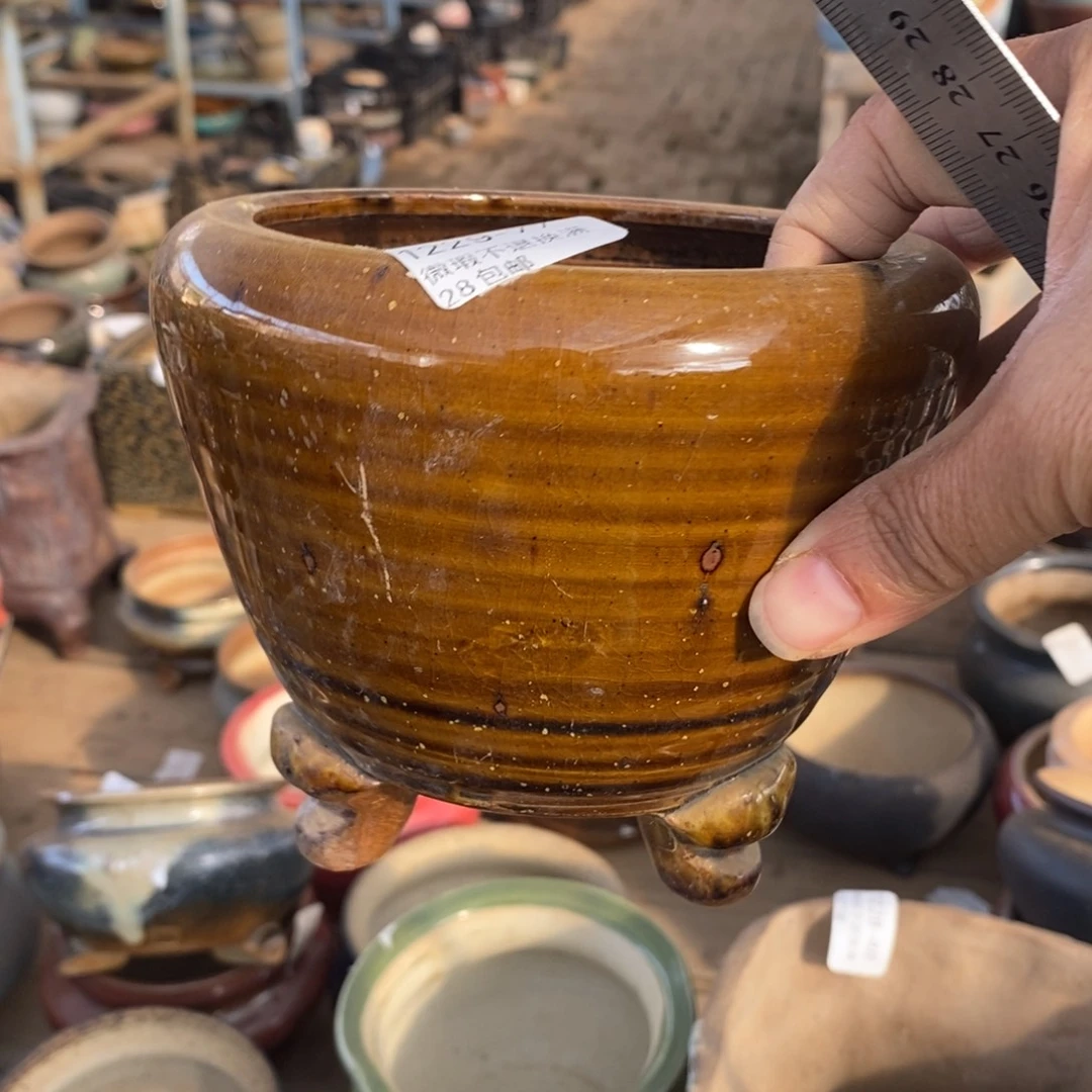 77号多肉盆口径10