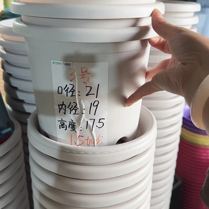 微瑕3#口径21带托灰白10套