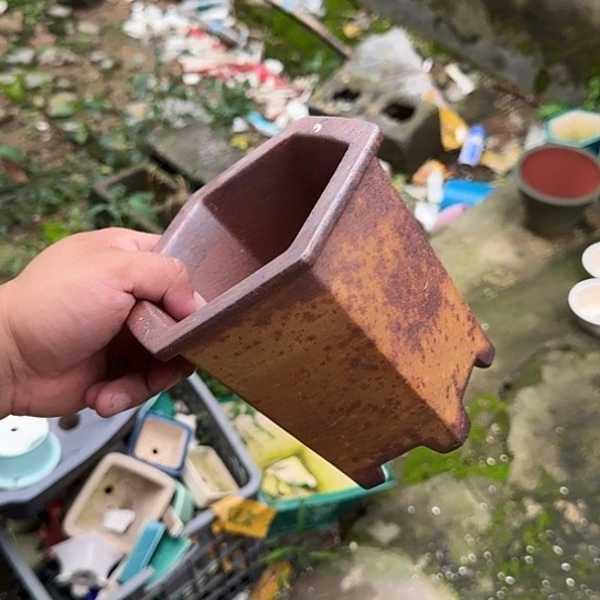 一天只喝一点奶茶一次药就是
