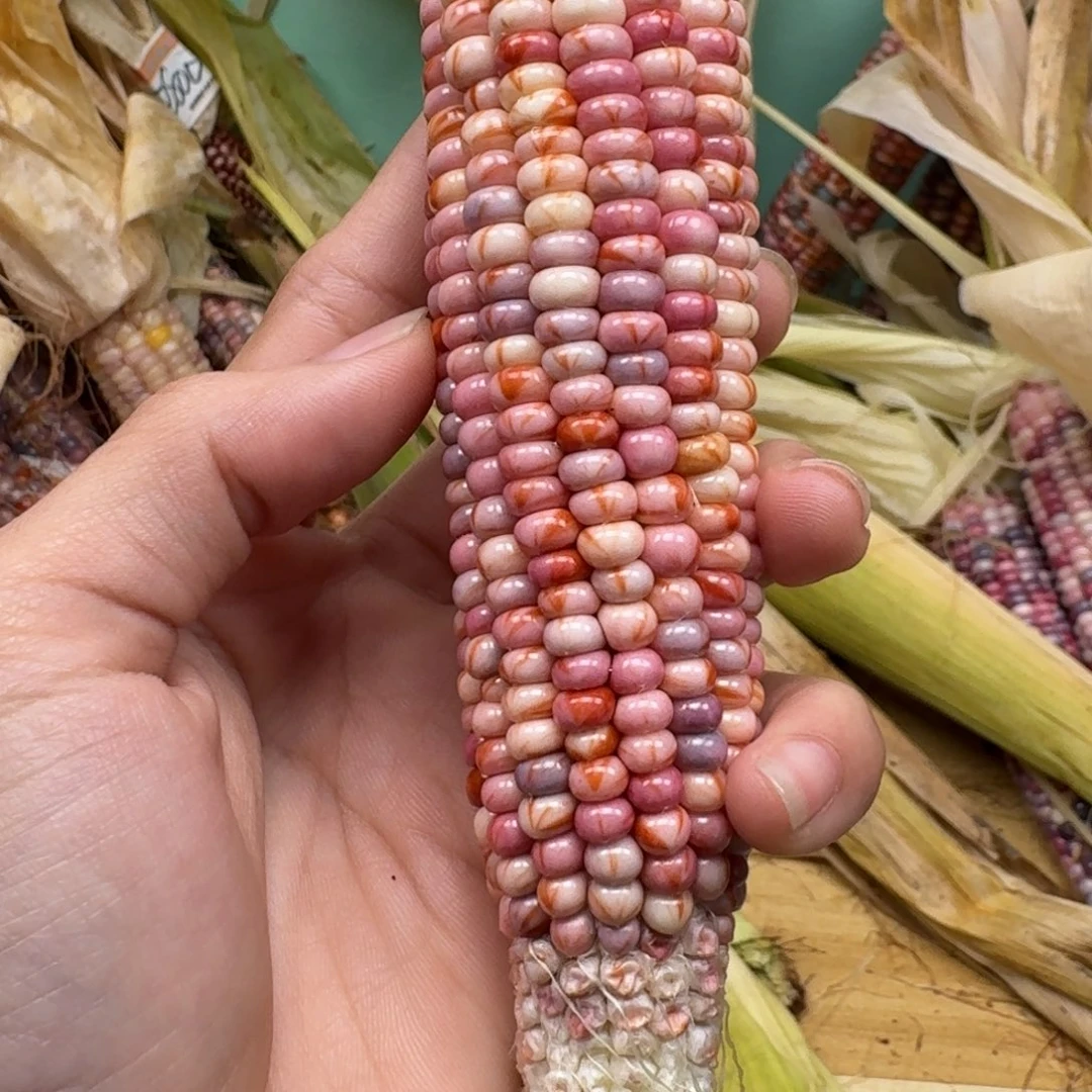 柚***檬柏香籽/百香籽吊坠