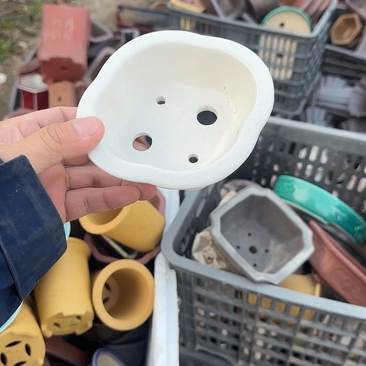 是一个不知名作家与著名导演在电视连续谈话后创作