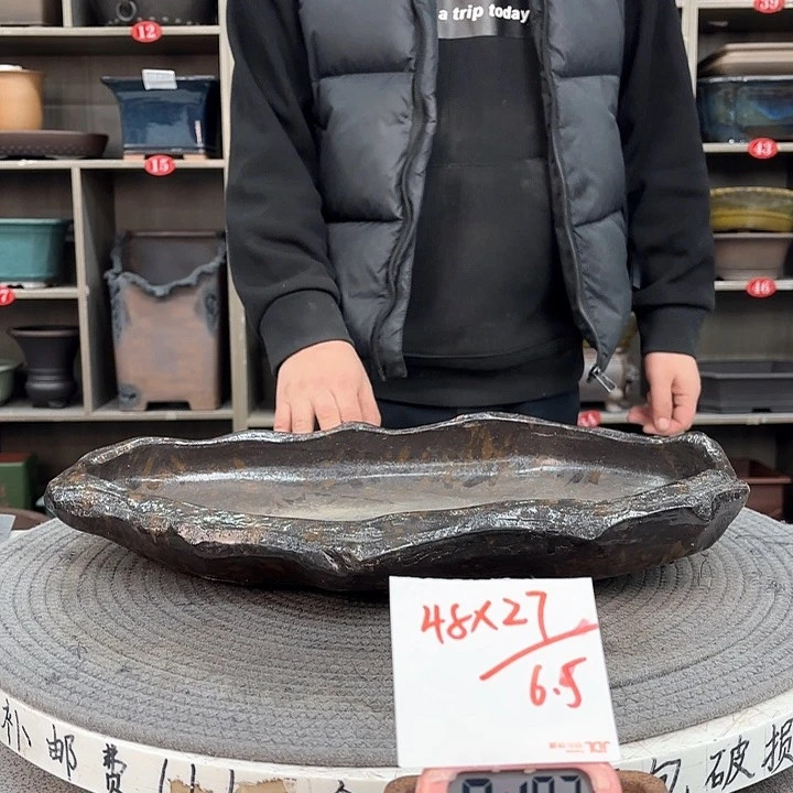 紫砂花盆沐*紫砂的花也太漂亮