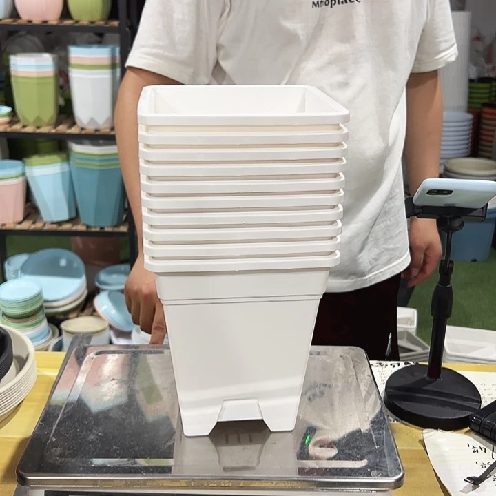 正品方盆口16高18白色10只无托