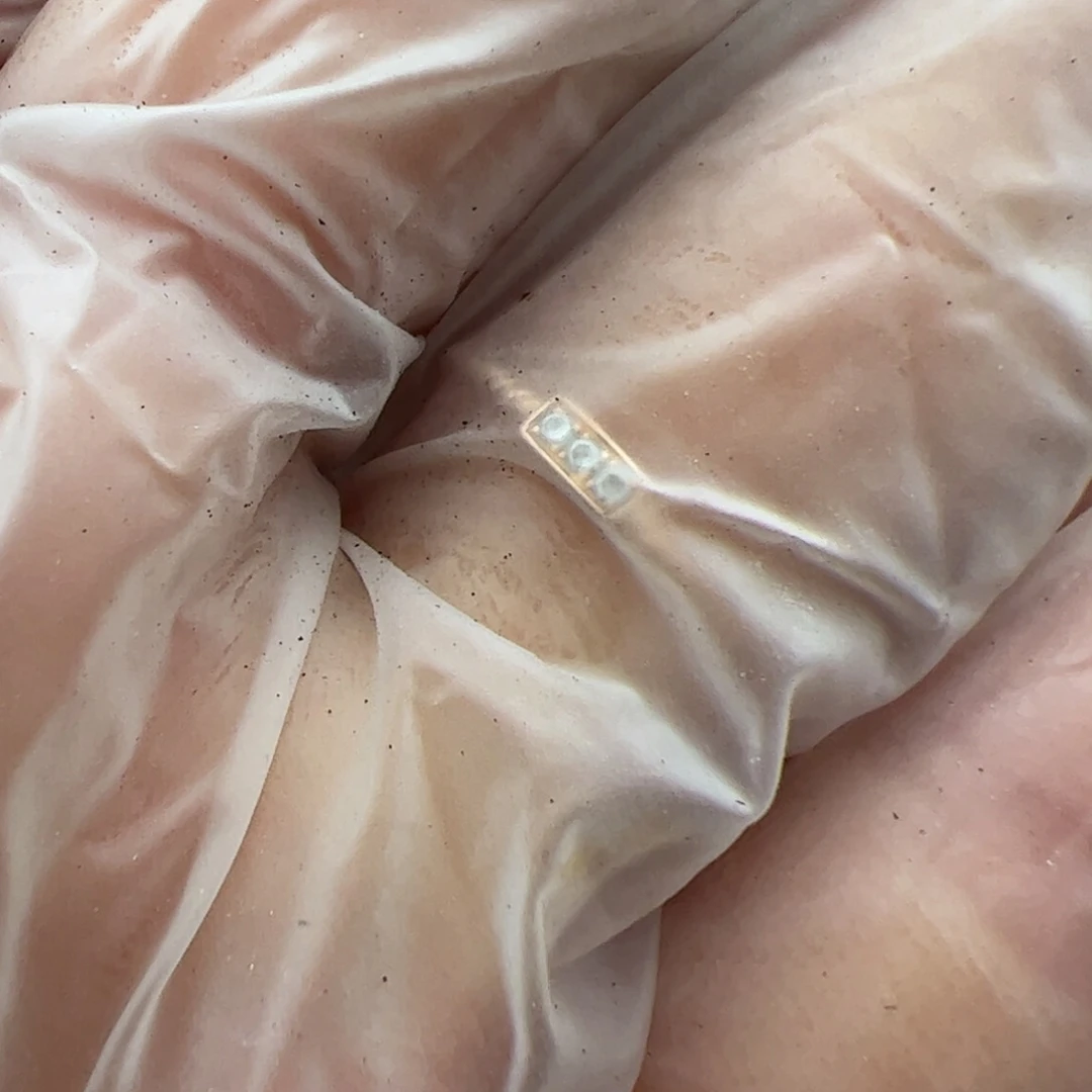 森*专拍多肉植物