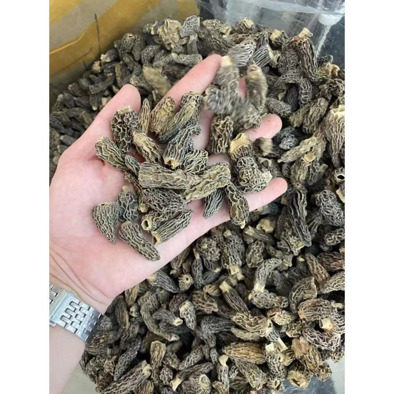 优质野羊肚菌250g