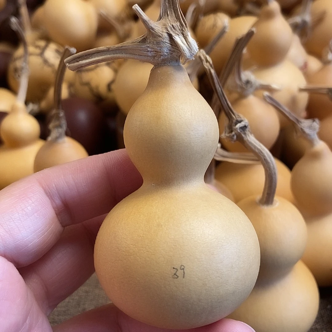 文玩葫芦 完美主义者 慎拍39