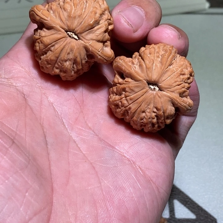 *****手串/手链核桃血麒jin麟