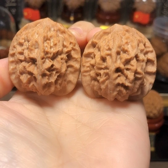 野生小众：精品红樽