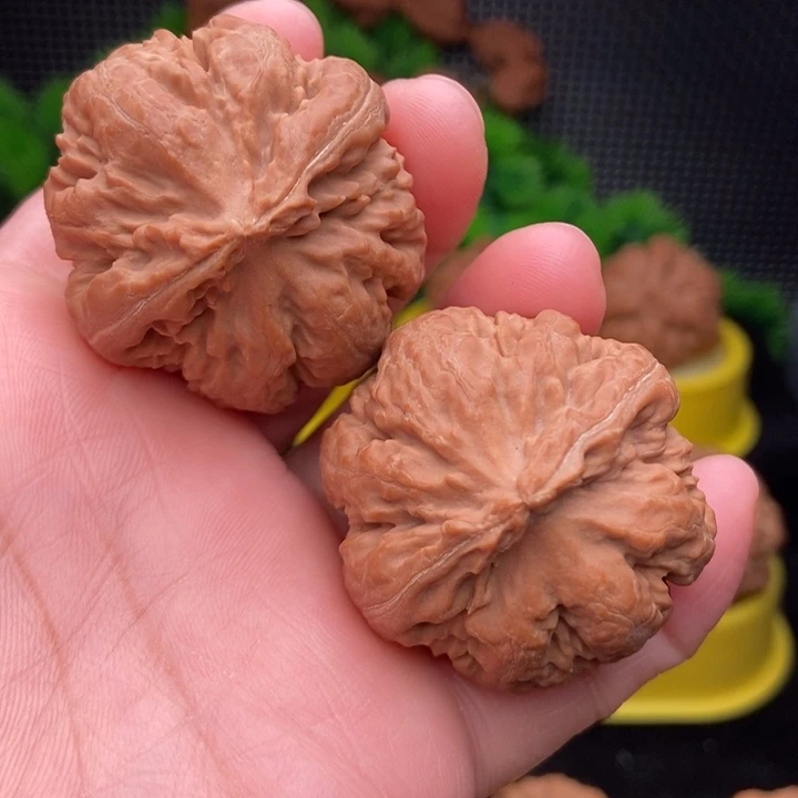 霸王龙39全品1111111