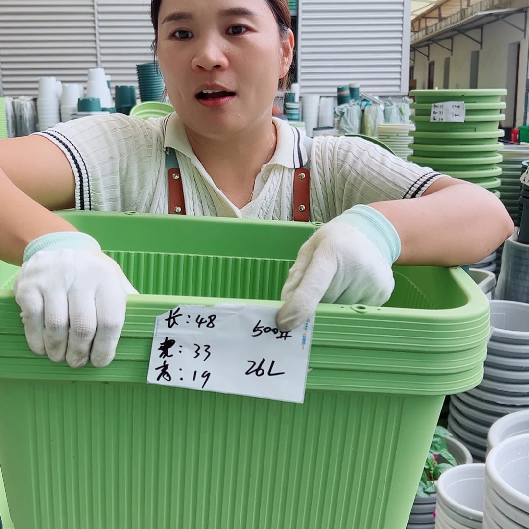 菜盆500#果绿色3个无托