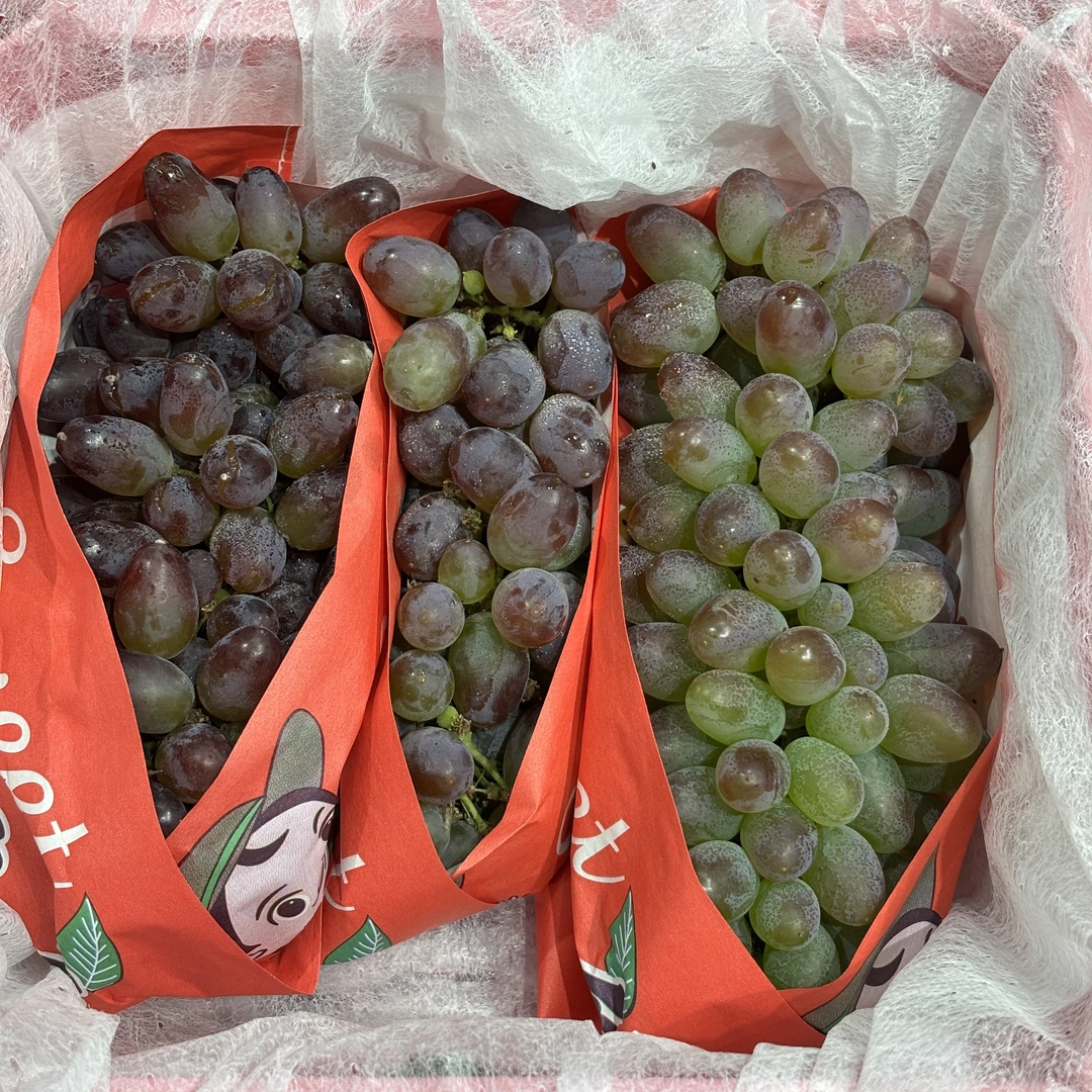 茉莉香葡萄19.8一件净果重1.5斤（不包塑料筐）